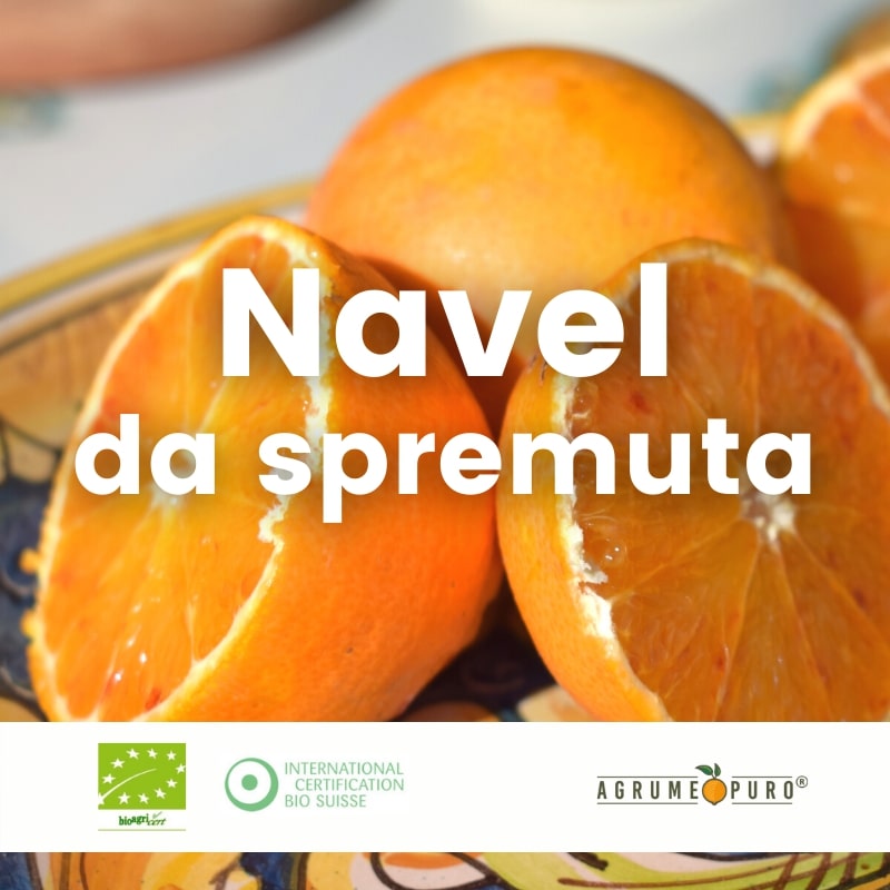 Arance-Navel-da-Spremuta-Biologiche.jpg