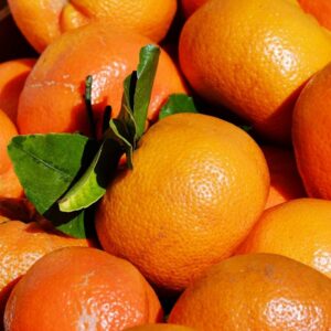 Mandarini con i semi